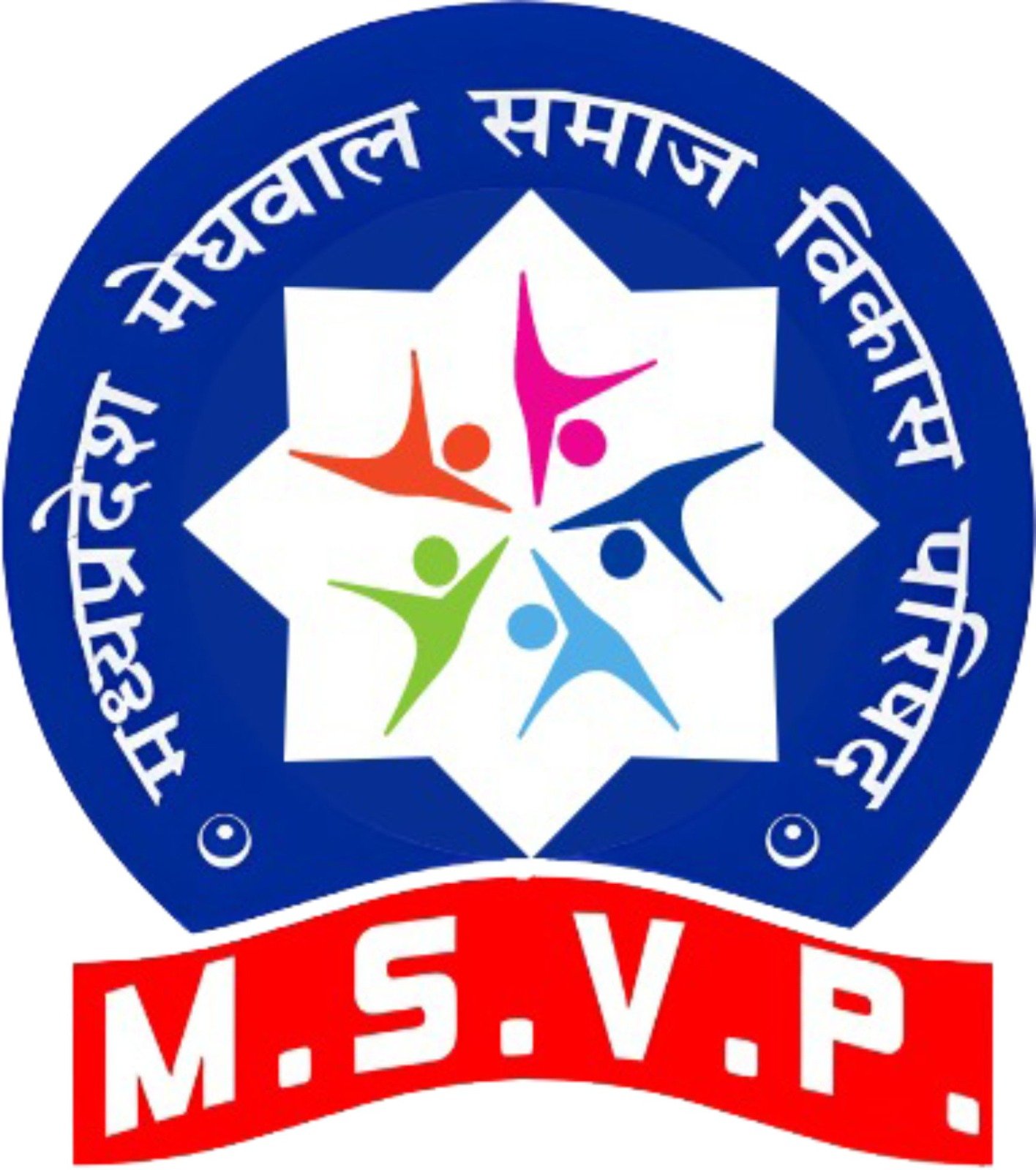 69c6416b04477_MSVP Main Logo.jpeg